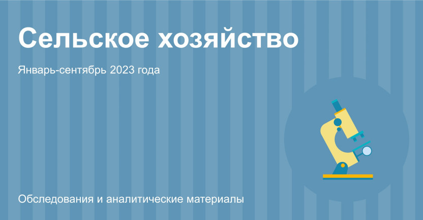 Сельское хозяйство в Алтайском крае. Январь-сентябрь 2023 года
